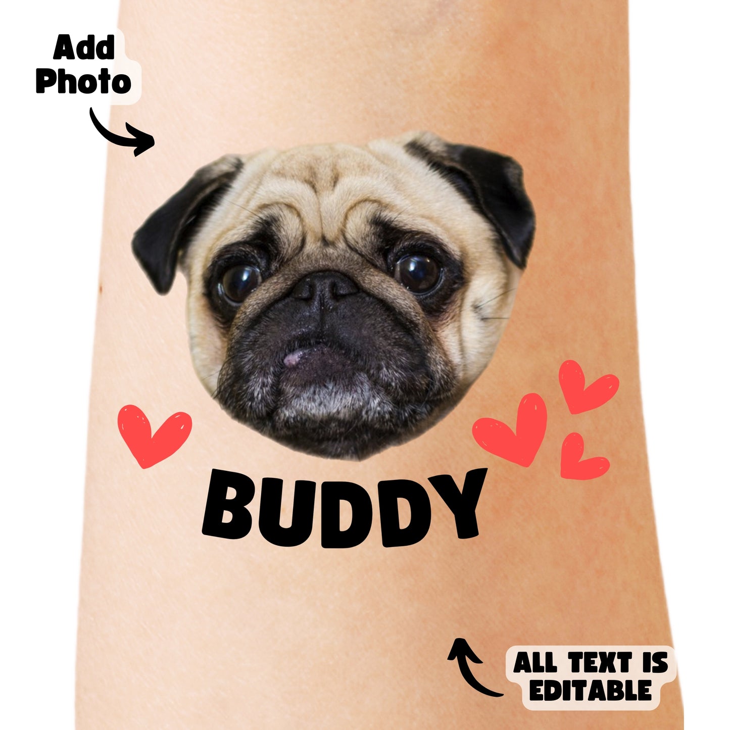 Buddy