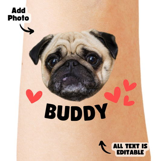 Buddy